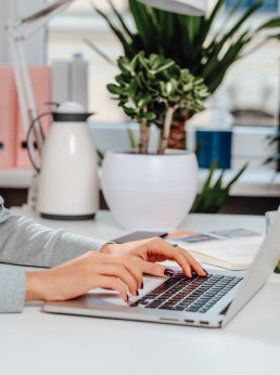 Diseño Web Profesional